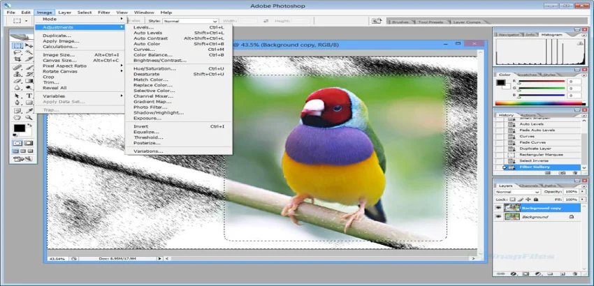 Download Photoshop CS2 for Free | Legal Alternatives & Tips